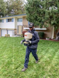 Local Experts In Lawn Care Tree, Green Lawn Care And Landscape Boise